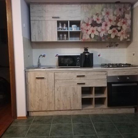 Andra Apartment Sinaia Exterior photo